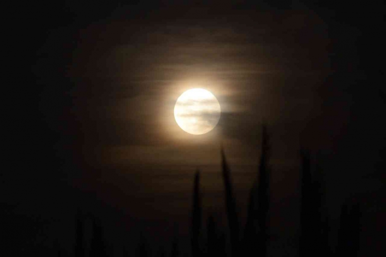 Ilustrasi Pixabay (Silvinaescalan). Senin, 28/11/2022. Pemandangan malam uang yang indah dengan suasana sinar rembulan. 