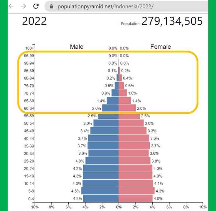 Struktur lansia Indonesia (tangkap layar populationpyramid.net/Indonesia/2022)