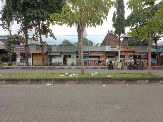 sampah di tengah taman jalan Suromenggolo Ponorogo (Dokumen Pribadi)