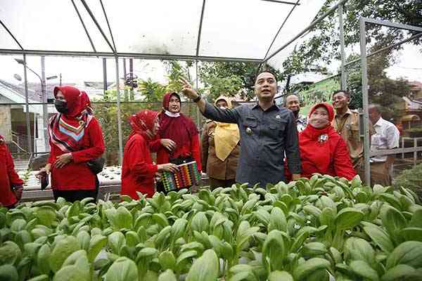 Kelompok Wanita Tani yang menanam sayuran. foto: diskominfo surabaya 