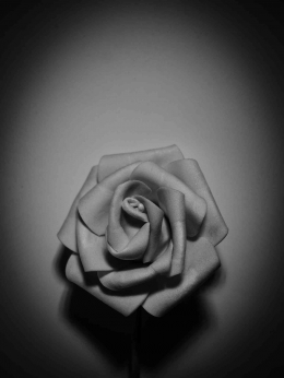 Ilustrasi puisi Kemarin Kita Bicara Soal Rindu/Bunga mawar (Foto: Mix Clicks Via Pixabay)