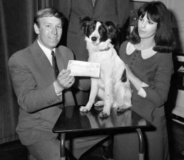 Seekor anjing bernama Pickles yang menemukan trofi Piala Dunia 1966 yang sempat dicuri (Ist) via lentera  com