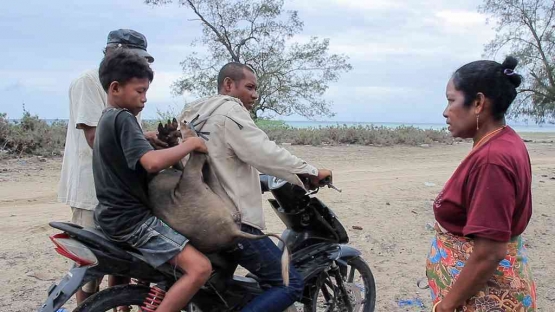 Salah satu adegan dalam film Nokas. Sumber: Balebengong.id