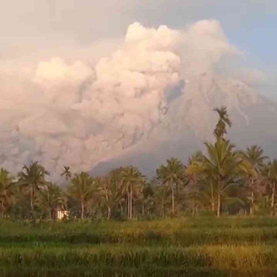 Guguran lahar panas erupsi Gunung Semeru pada Minggu, 4 Desember 2022 dilihat dari Desa Jarit, Lumajang. | Dokumen pribadi TL video Antok.