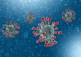 Gambar 1. Microscopic View Coronavirus (sumber : https://mesin.akprind.ac.id/wp-content/uploads/2020/03/Coronavirus-blue-and-pink-illustration-1024x73