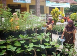 Ilustrasi guru dan peserta didik yang sedang melakukan pembelajaran tentang menanam secara langsung (sumber: bibitbuahku.com)