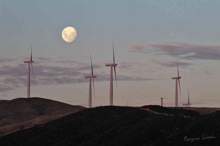Turbin angin di Makara, New Zealand (Foto: Dok. Pribadi)
