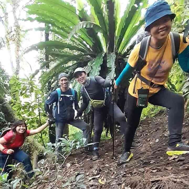 1800an mpdl: tapi nanjaknya menyakitkan hati.