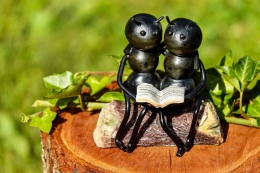 Ilustrasi sepasang semut. Sumber: Couleur on pixabay.com
