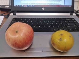 Ilustrasi buah apel dan jeruk. (Foto : Dokumentasi Pribadi)