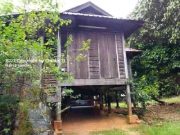 Dokumentasi pribadi. Rumah panggung Melayu di Negara Bagian Kedah, yang sekarang di bagian bawahnya diperuntukkan menjadi garasi