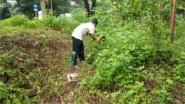 Penerapan Program 5R (Ringkas, Rapi Resik, Rawat, dan Rajin) di Greenhouse Universitas Diponegoro. (Dokumentasi pribadi)