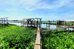 Jembatan bambu ke dangau pemancingan sebagai jalur uji keseimbangan tubuh (Dokpri)