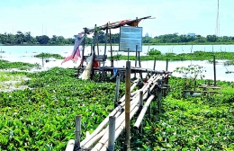 Jembatan bambu ke dangau pemancingan sebagai jalur uji keseimbangan tubuh (Dokpri)