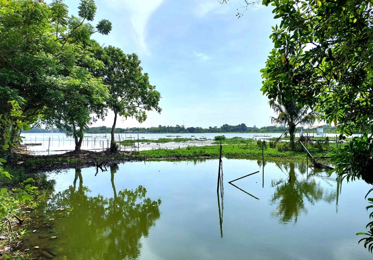 Saujana asri danau Situ Cipondoh Tangerang (Dokpri)