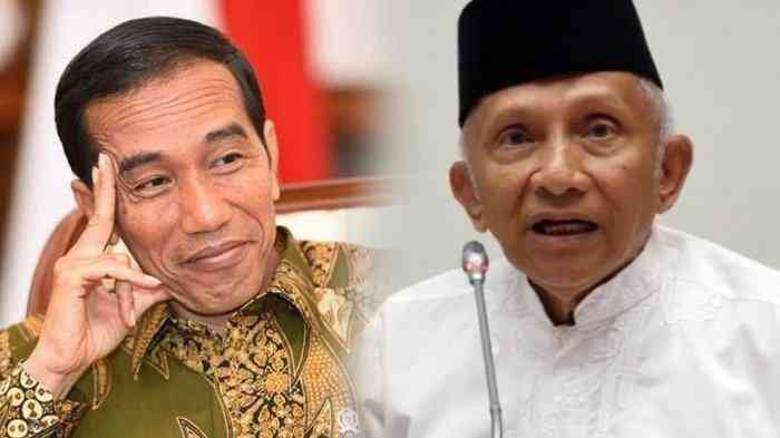 Amien Rais meminta kepada Presiden Jokowi untuk hentikan pembangunan IKN. (tribuntimur.com)