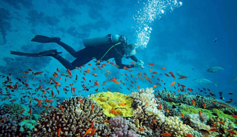 https://www.travellink-indonesia.com/2018/12/pulau-derawan-merupakan-surganya-bagi.html