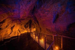 Tampak dalam Gua Aranui. Foto: Waitomo Galowworm Caves via TripAdvisor