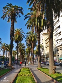 Avenue Des Far, Casablanca. Sumber: dokumentasi pribadi