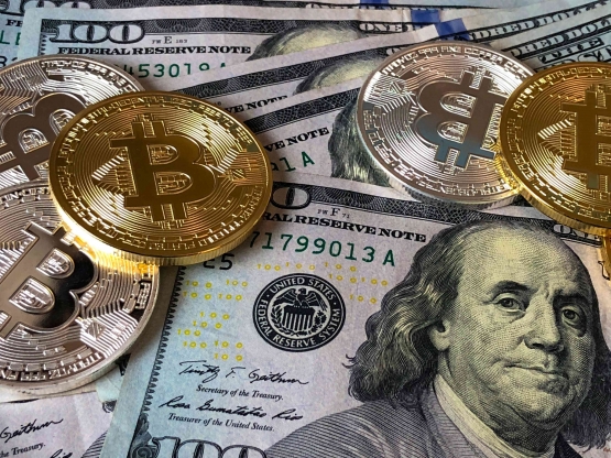 Bitcoins and U.s Dollar Bills Sumber: Pexel.com / Photo By David McBee