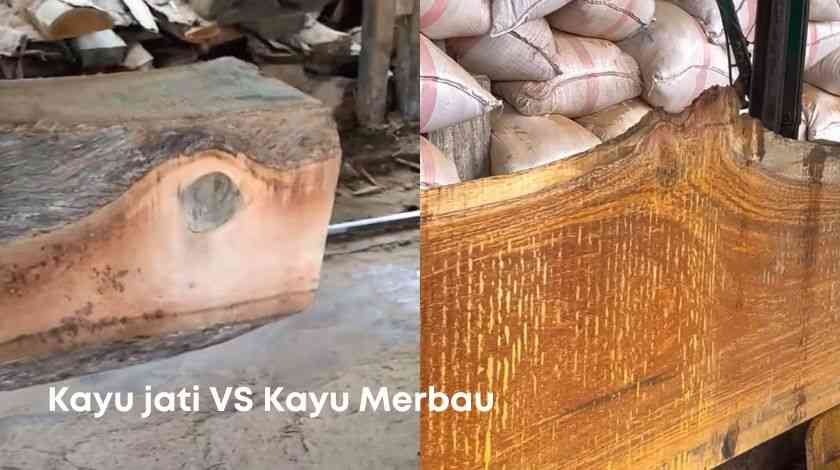 Perbandingan Kayu Jati Dan Kayu Merbau! Sulit Tapi Ini Yang Terbaik ...