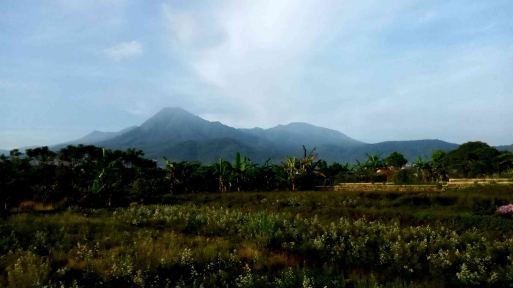 Gunung Panderman, view dari Villa Hadipoeran, Batu. Foto: Parlin Pakpahan