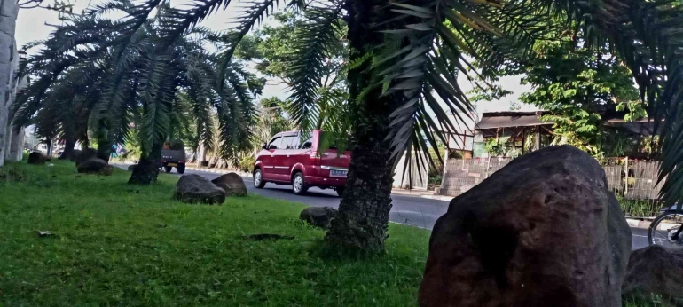 Dari celah trotoar Jln Bukit Berbunga, Batu. Foto: Parlin Pakpahan.