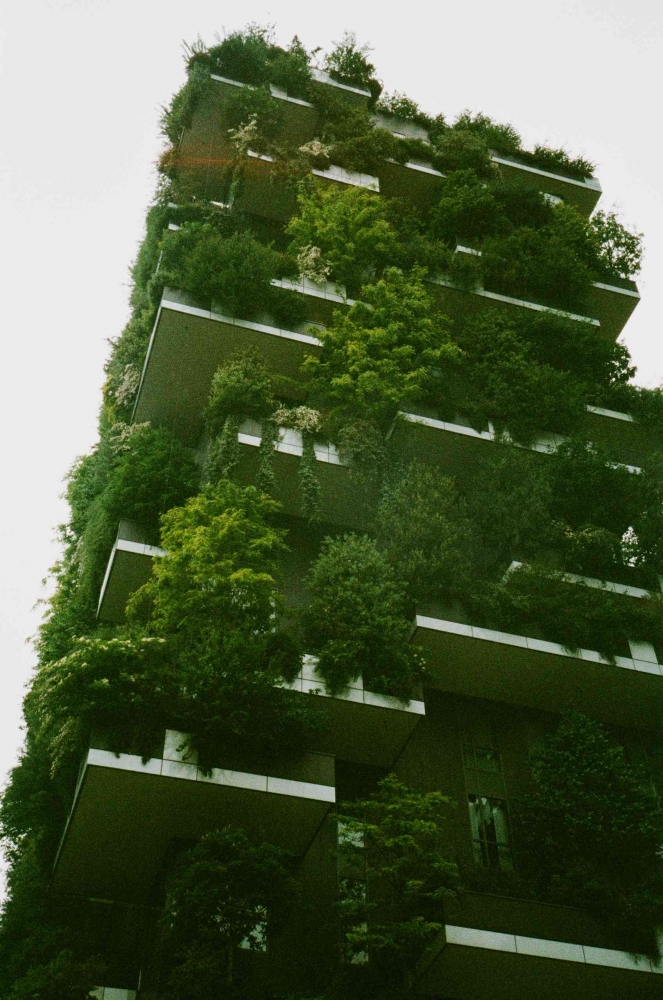 Green Building. Foto: Pexels.