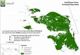 Gambar 3. Luas Tutupan Hutan Tropis Papua (Sumber: Econusa)