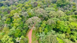 Gambar 2. Hutan Hujan Tropis (Sumber: Detik.com)