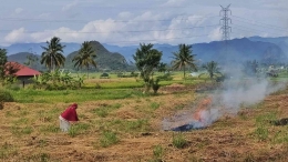 Menjalani rangkaian fase dalam bertani dimulai dengan menyiapkan lahan sawah untuk ditanami padi (foto Akbar Pitopang)