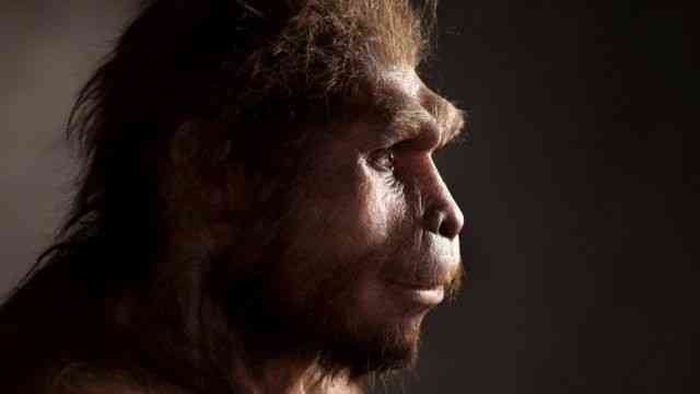 Gambar 2. Rekonstruksi Homo erectus. Sumber: https://www.bbc.com/i