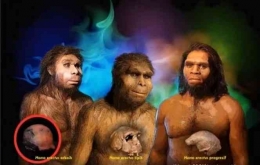 Gambar 4. Rekonstruksi 3 tipe Homo erectus yang mendiami Pulau Jawa. Sumber: https://www.kompasiana.com/