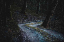 Jalan jejak Hutan. Gambar via Pixabay.com