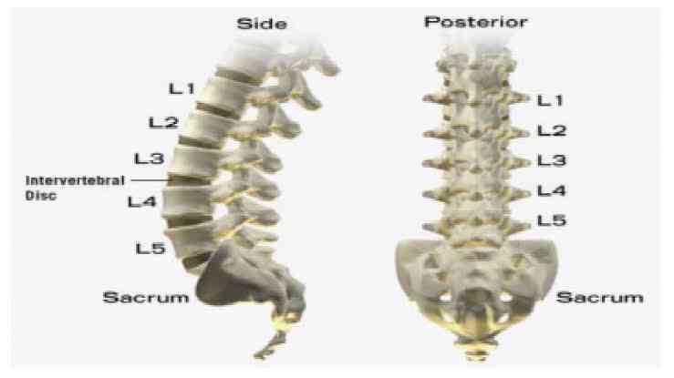 Mengenal Pemeriksaan Radiografi Tulang Belakang Lumbal - Kompasiana.com