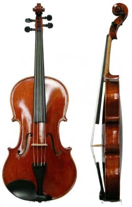 Viola (Sumber: Wikipedia)