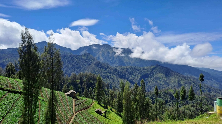 Desa Ngadas, Dusun Jarak Ijo
