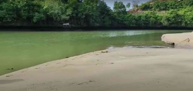 Dataran estuari Ungapan, di muara sungai Bajulmati/dok pribadi