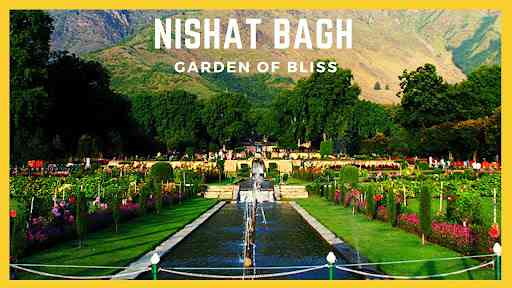 Nishat Bagh di Srinagar. | Sumber: videotailor.com
