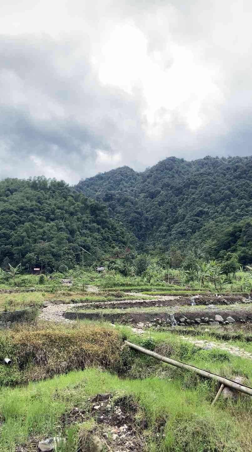 "Hiking" Tren Wisata Pascapandemi Halaman All - Kompasiana.com