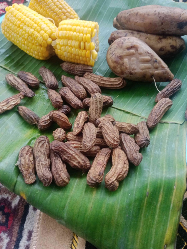 Ketela,jagung Dan kacang rebus (dokpri)