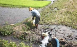 Foto mengairi sawah by cybex pertanian.go.id