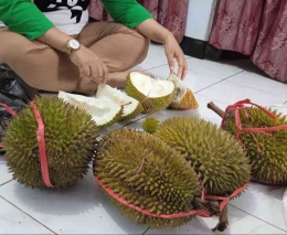 Durian, salah satu buah ikon daerah Purworejo (dok.IYeeS) 
