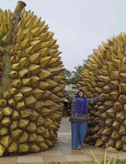 Purworejo kota durian (dok.IYeeS) 