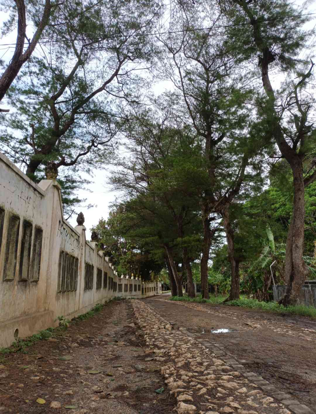 Jalan menuju Pantai Trenggole Gunung Kidul Yogyakarta. | Foto: Wahyu Sapta.