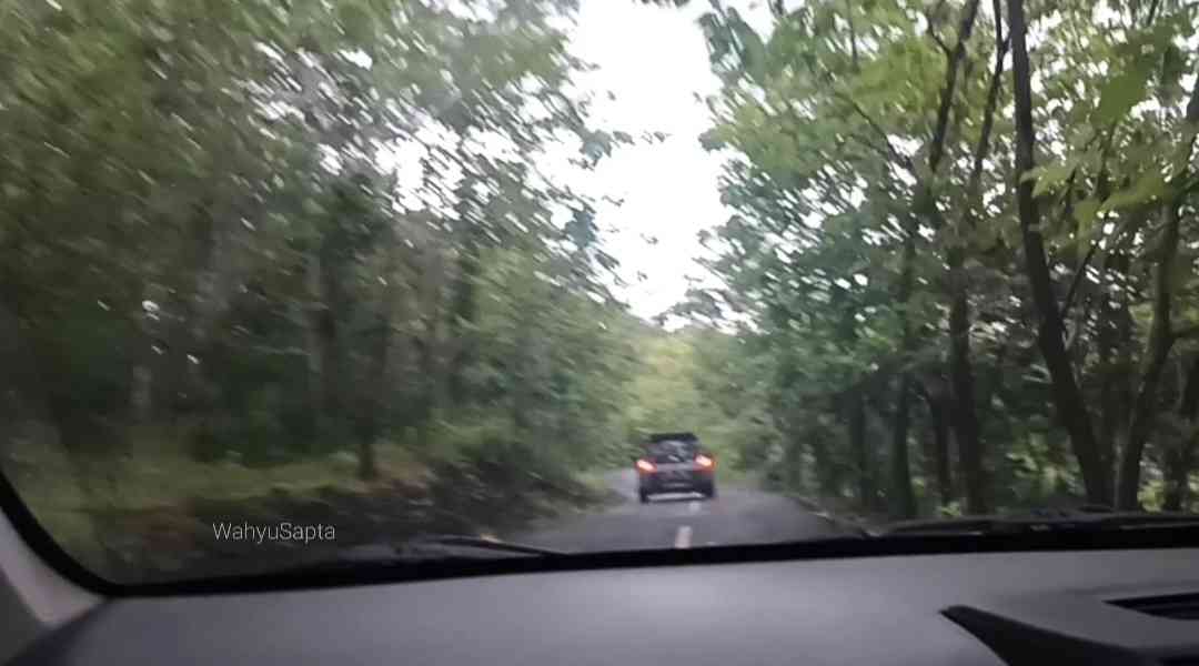 Melewati hutan jati dengan jalan yang berkelok-kelok. | Foto: Wahyu Sapta.