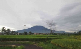 Gunung Gede saat pagi hari (sumber foto: dokumentasi pribadi)