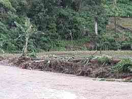 Banjir merusak tanaman jagung dan tanaman lain milik petani di ladang (dok foto: readsi.id)