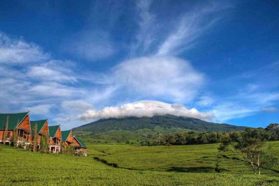 Gambar dari Atourin