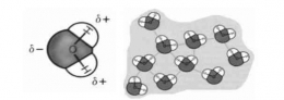 Gambar 2. Molekul polar air (kiri) dan ikatan hidrogen pada air (kanan) 